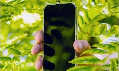 Jaki smartfon do 2000 zł wybrać w 2025 roku?