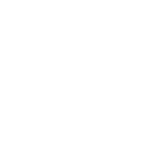 Satin-Armor-Case-plus-precyzyjne