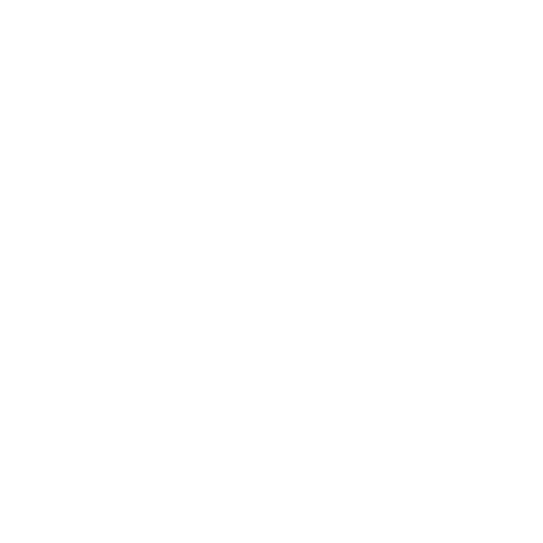 Satin-Armor-Case-plus-wygodne